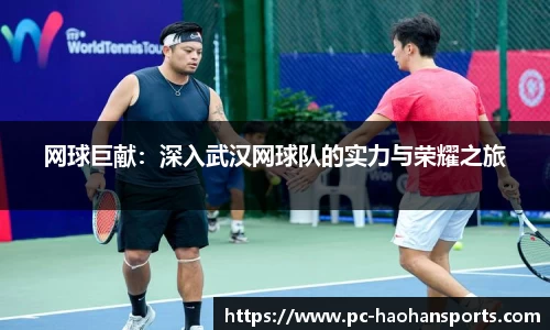 网球巨献：深入武汉网球队的实力与荣耀之旅