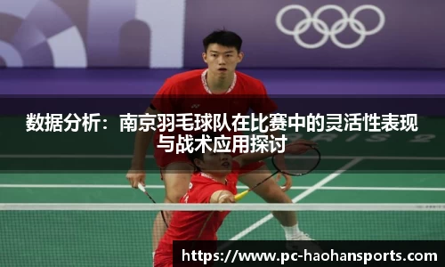 数据分析：南京羽毛球队在比赛中的灵活性表现与战术应用探讨